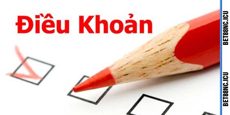 Điều khoản người chơi cần biết